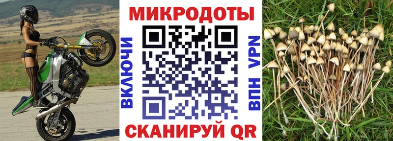 Галлюциногенные грибы Magic Shrooms  купить   Фурманов 
